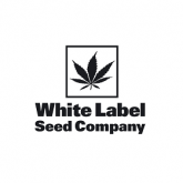 Sensi White Label Seeds Auto